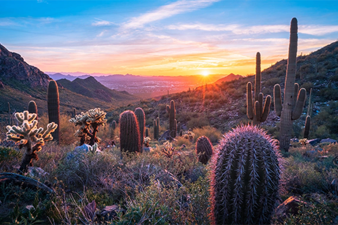 Landscape shot of Arizona desert